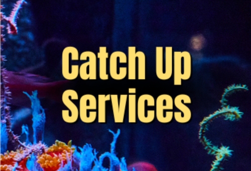 Catch Up Services