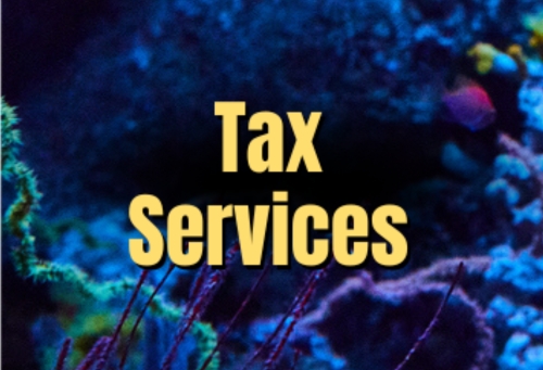 Tax Services